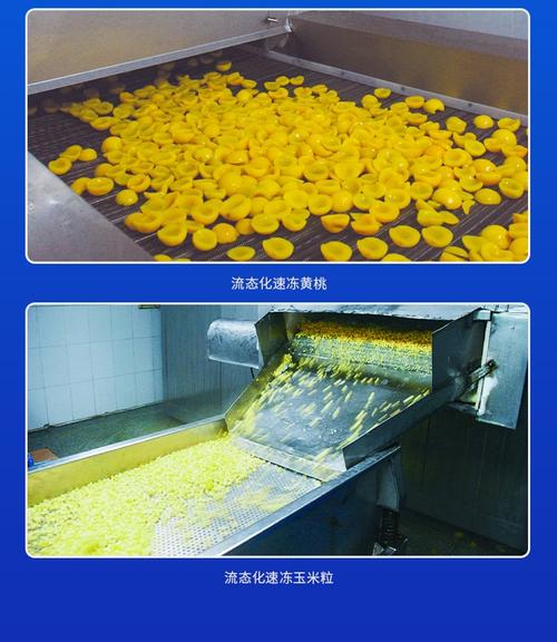 广州冰泉流态化速冻机 果蔬速冻领域的定制化先锋